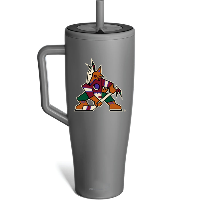 BruMate Era Tumbler with Arizona Coyotes Primary Logo