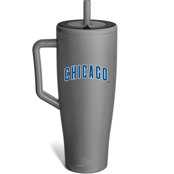 BruMate Era Tumbler with Chicago Cubs Workmark Logo