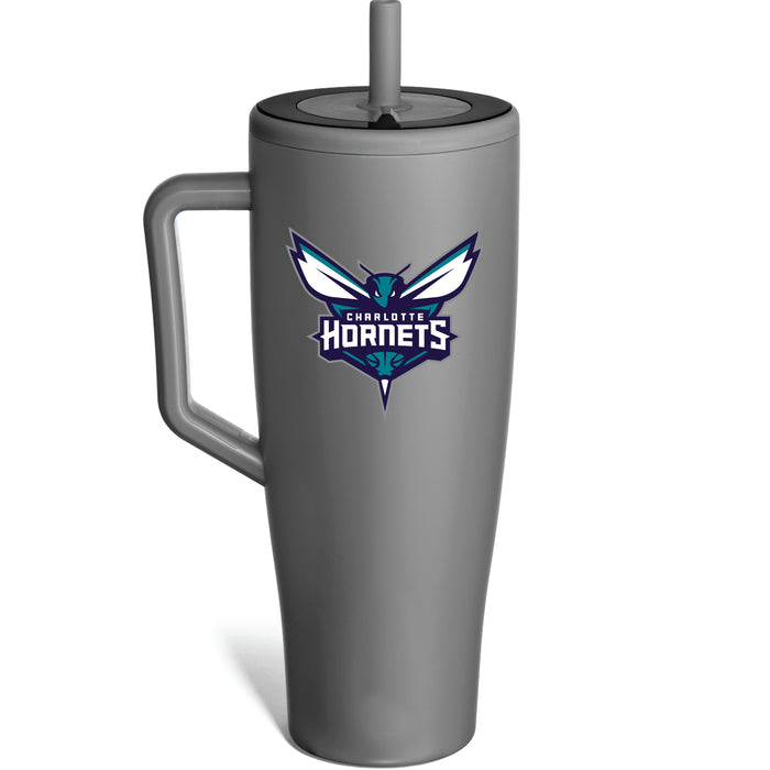 BruMate Era Tumbler with Charlotte Hornets Primary Logo