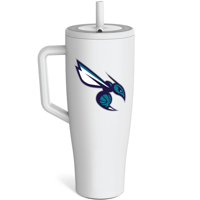 BruMate Era Tumbler with Charlotte Hornets Secondary Logo